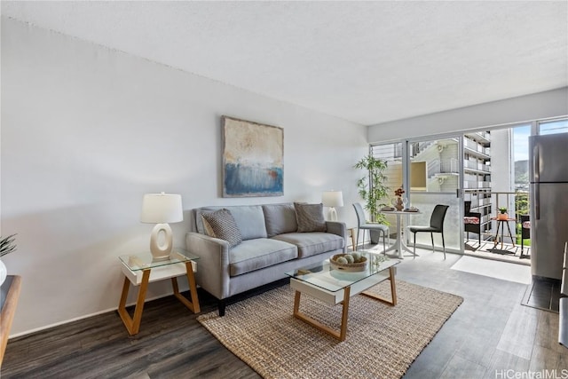 living room featuring wood-type flooring