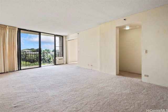 carpeted empty room featuring expansive windows and a textured ceiling