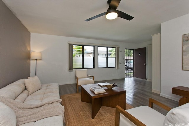 living room with ceiling fan and wood-type flooring