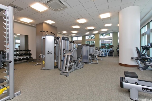 gym featuring carpet floors