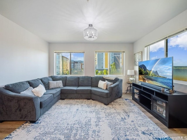 living room with hardwood / wood-style floors and plenty of natural light