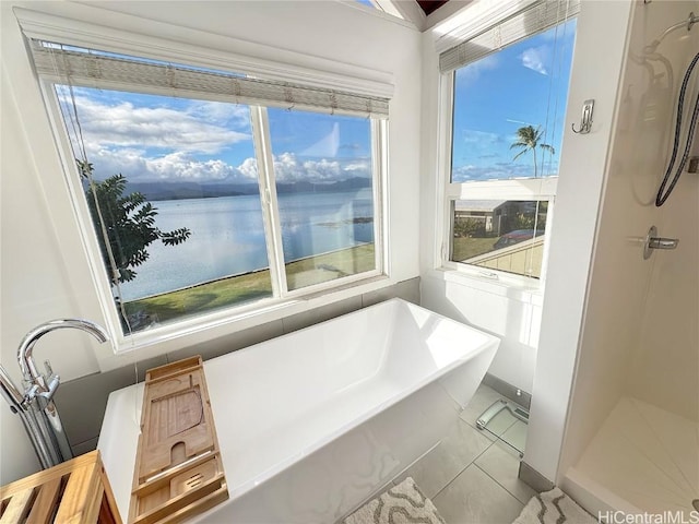 bathroom featuring a tub to relax in, a healthy amount of sunlight, and a water view