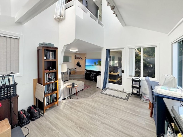 interior space with high vaulted ceiling and light hardwood / wood-style floors