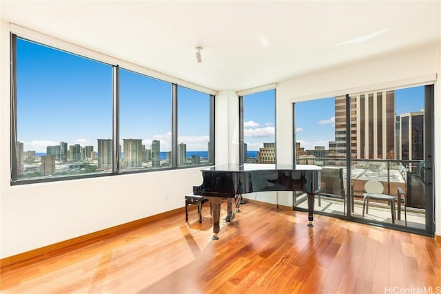 misc room featuring hardwood / wood-style floors