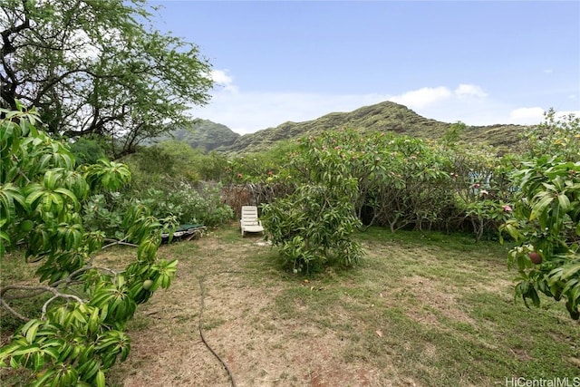 view of yard with a mountain view