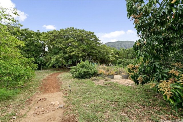 view of yard with a mountain view