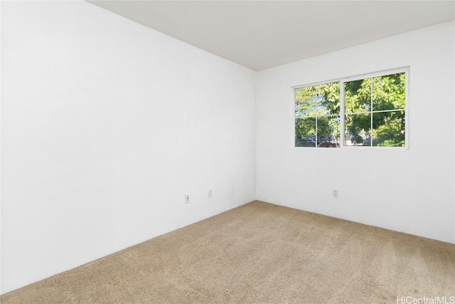 spare room with carpet floors