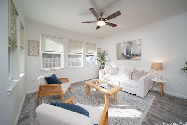 living room with ceiling fan and hardwood / wood-style floors