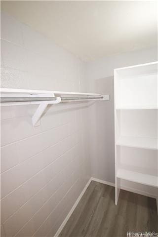 walk in closet featuring hardwood / wood-style floors