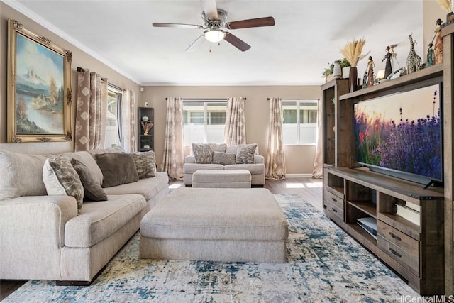 living room with hardwood / wood-style floors, ceiling fan, and ornamental molding