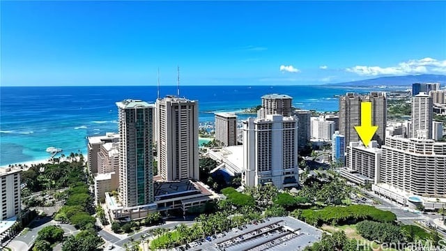 bird's eye view with a water view