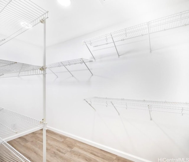 spacious closet featuring wood-type flooring