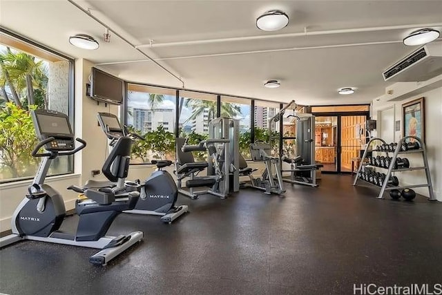 exercise room with a wealth of natural light