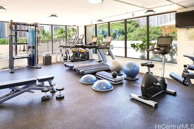 workout area featuring expansive windows and plenty of natural light