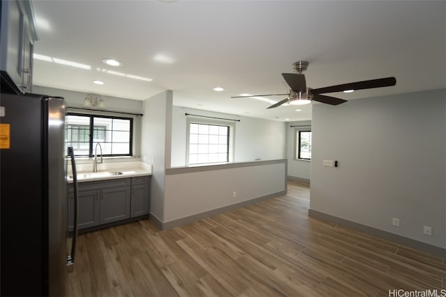 kitchen featuring dark hardwood / wood-style flooring, refrigerator, ceiling fan, sink, and gray cabinets