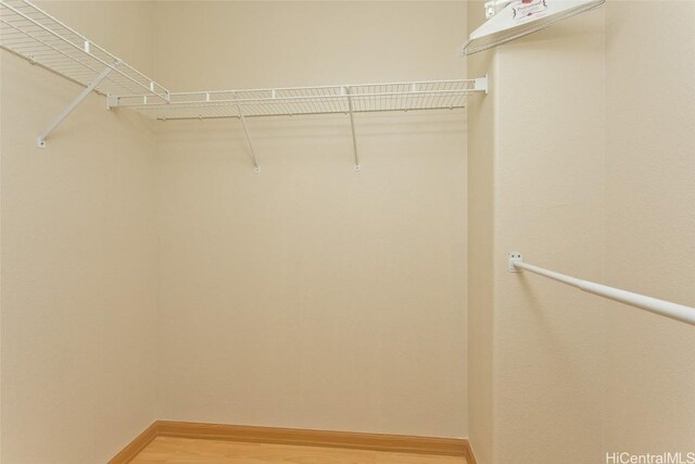 spacious closet featuring wood-type flooring