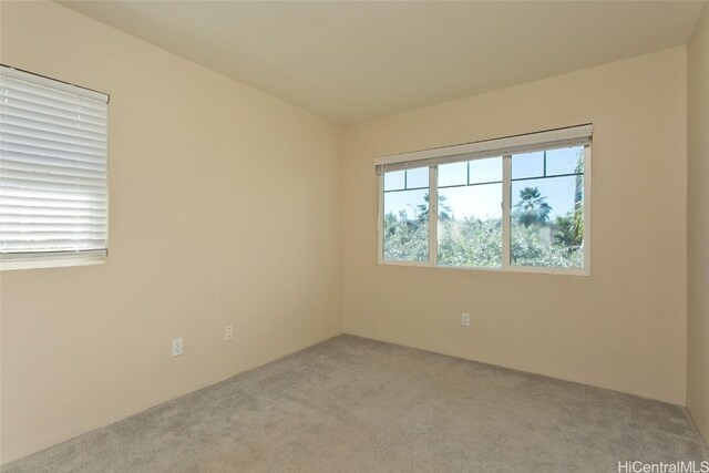 spare room featuring carpet floors