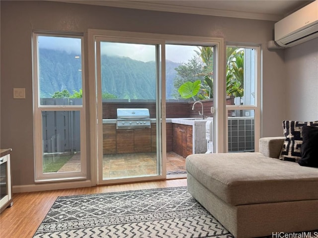 entryway with light wood-type flooring, ornamental molding, sink, an AC wall unit, and a mountain view