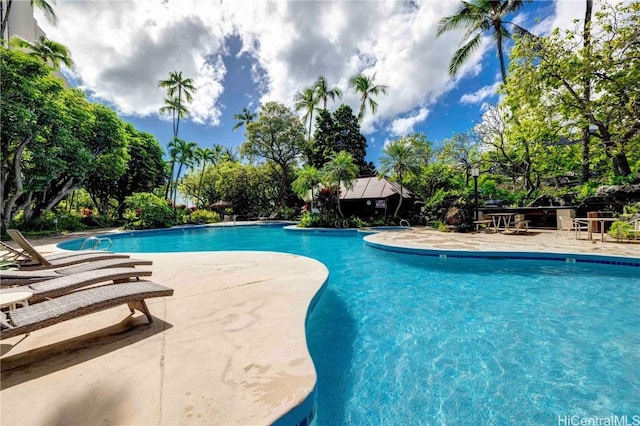 view of swimming pool