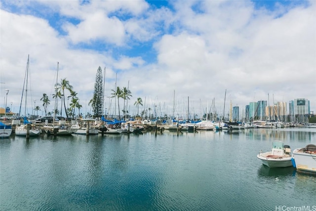 water view featuring a boat dock