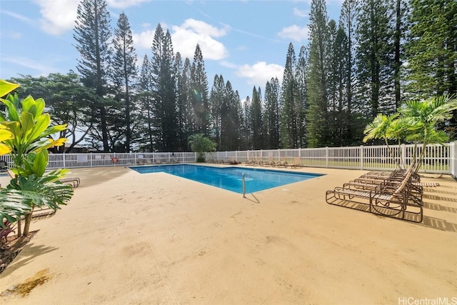 view of swimming pool featuring a patio