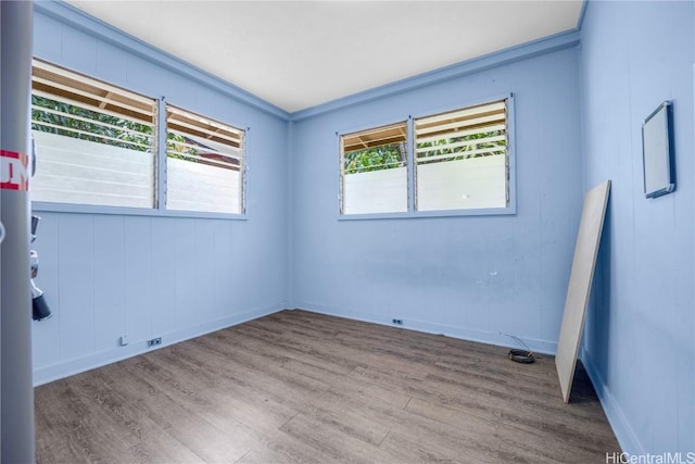 unfurnished room featuring light hardwood / wood-style floors, a wealth of natural light, and crown molding