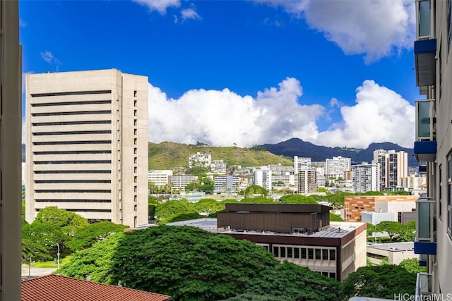 view of property's community featuring a mountain view