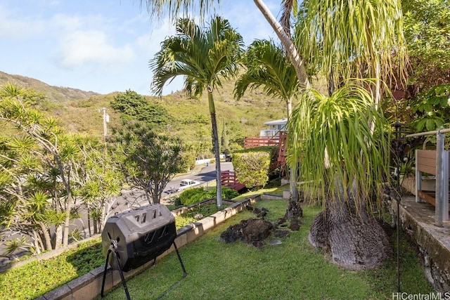 view of property's community with a mountain view and a lawn