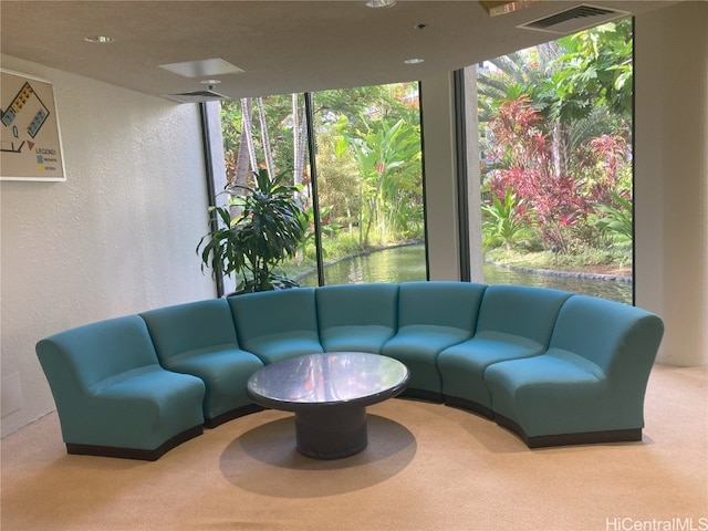 carpeted living room featuring floor to ceiling windows