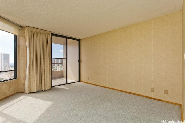 carpeted spare room with a textured ceiling