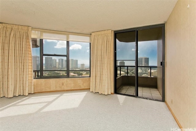 spare room featuring carpet flooring, plenty of natural light, and a textured ceiling