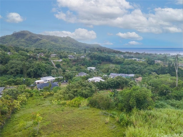 view of mountain feature with a water view