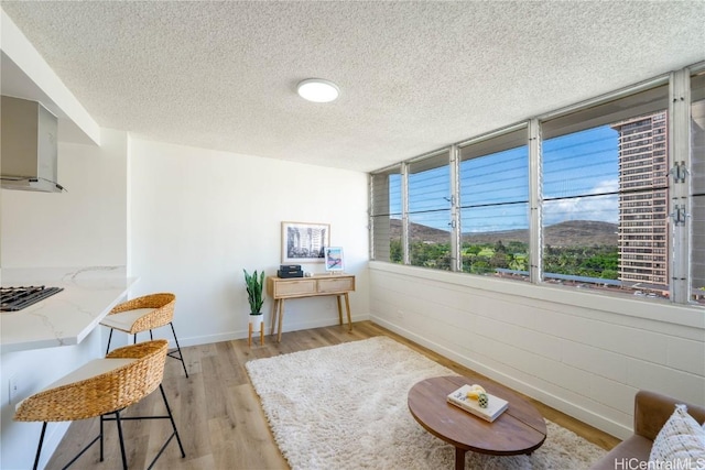 living area with a textured ceiling and light hardwood / wood-style flooring