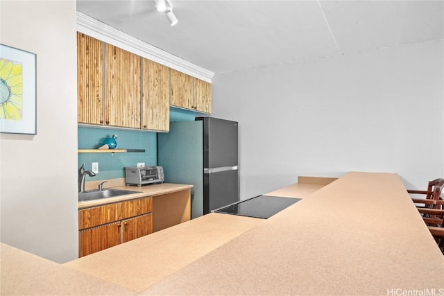 kitchen with stainless steel fridge, ornamental molding, and sink