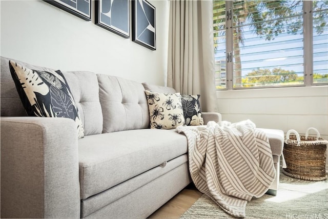 living room featuring hardwood / wood-style floors