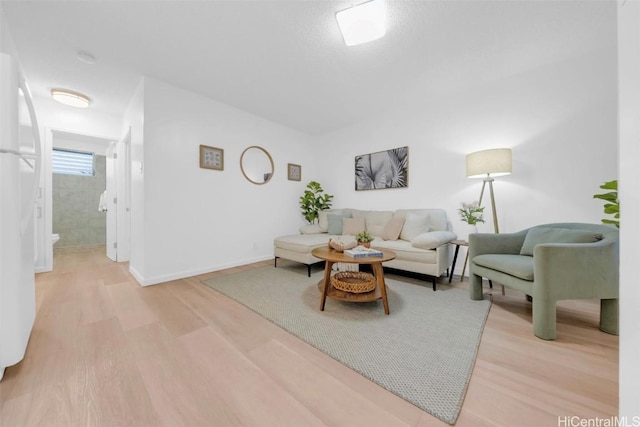 living room with light hardwood / wood-style floors