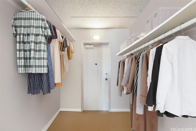 spacious closet featuring carpet flooring