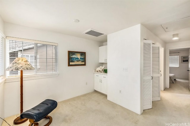 interior space with light colored carpet