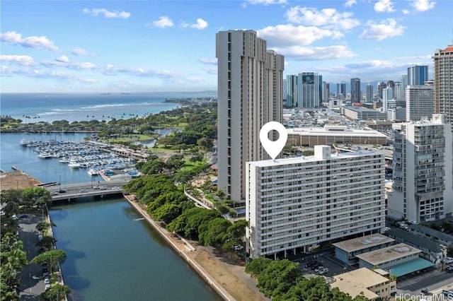 aerial view with a water view