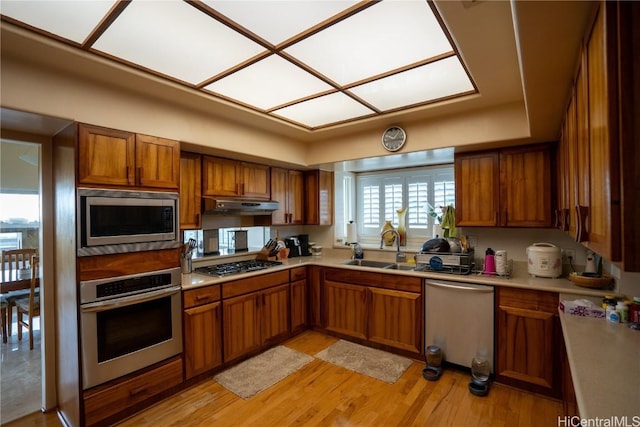 kitchen featuring sink, light wood-type flooring, and stainless steel appliances