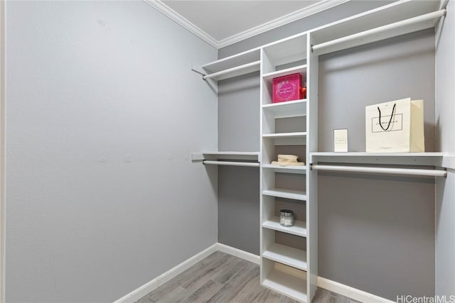 walk in closet featuring hardwood / wood-style floors