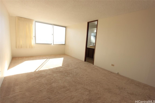 carpeted empty room featuring a textured ceiling