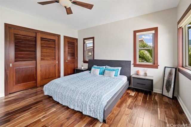 bedroom featuring multiple closets, ceiling fan, and dark hardwood / wood-style flooring