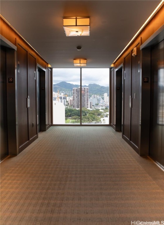 corridor with a mountain view, carpet flooring, elevator, and wood walls