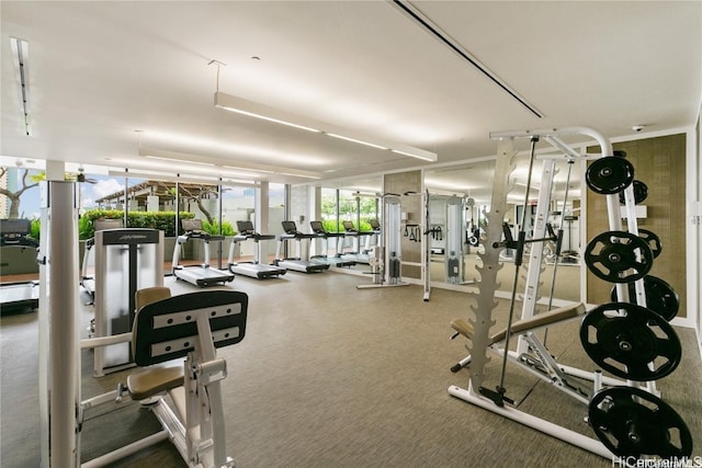 gym featuring floor to ceiling windows