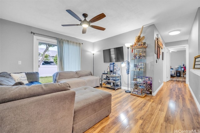 living room with ceiling fan and hardwood / wood-style flooring