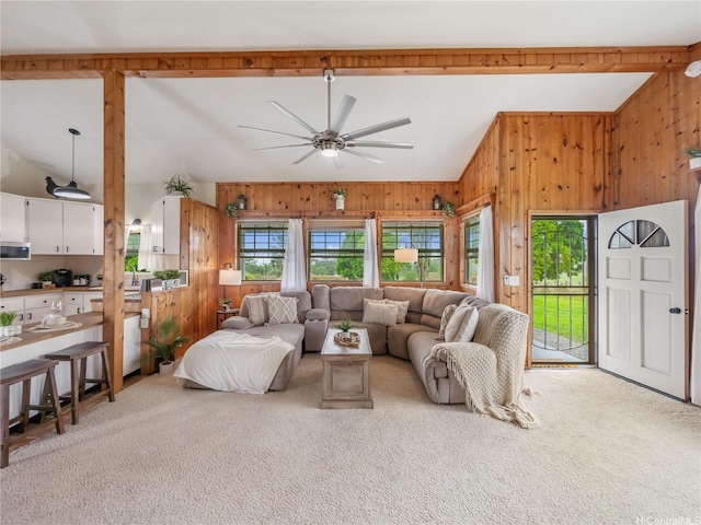 18-4099 N Pszyk Rd, Mountain View, HI 96771 - living room featuring light colored carpet, wood walls, and a ceiling fan