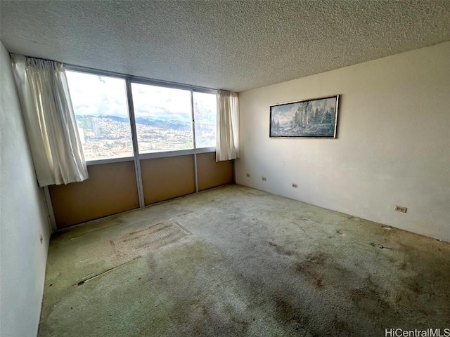 carpeted spare room with a textured ceiling