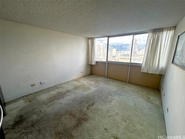 unfurnished room featuring light colored carpet and a textured ceiling