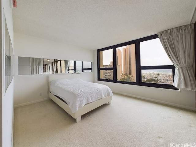 bedroom featuring carpet floors and a textured ceiling